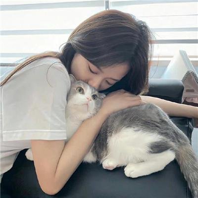 若如初见